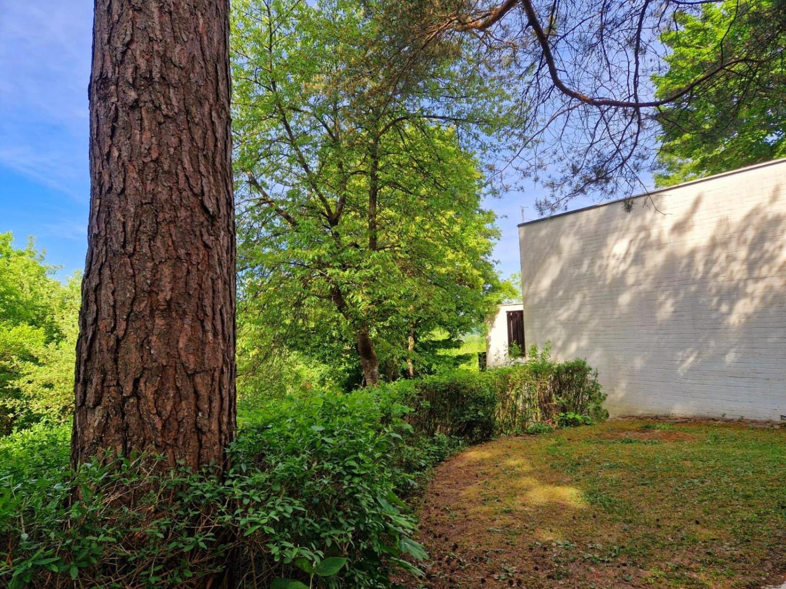 Berg-Bungalows Leinleitertal Heiligenstadt in Oberfranken 외부 사진