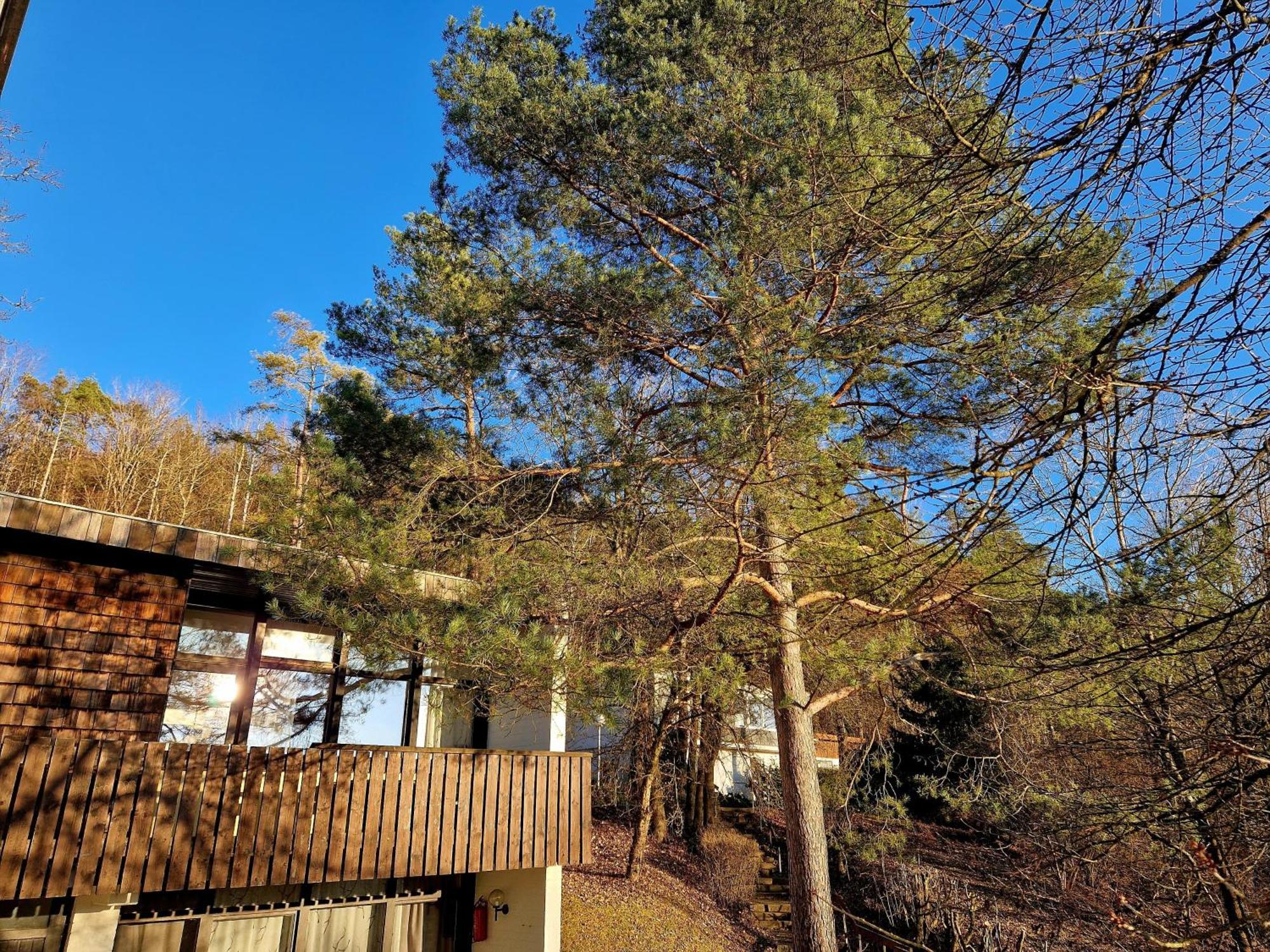 Berg-Bungalows Leinleitertal Heiligenstadt in Oberfranken 외부 사진